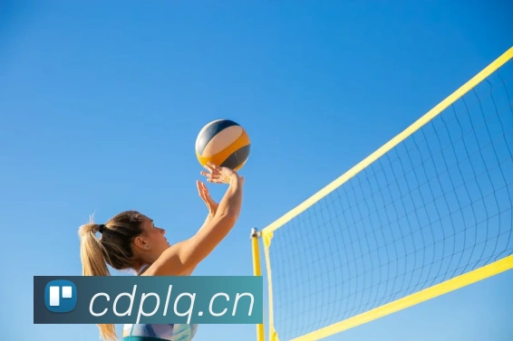 App Interface Preview